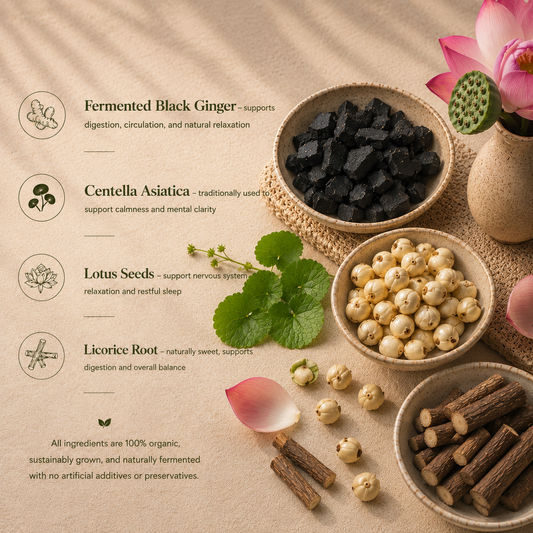 Sleep & Relax Herbal Tea 50g | Organic Fermented Tea for Calm, Relaxation & Restful Sleep