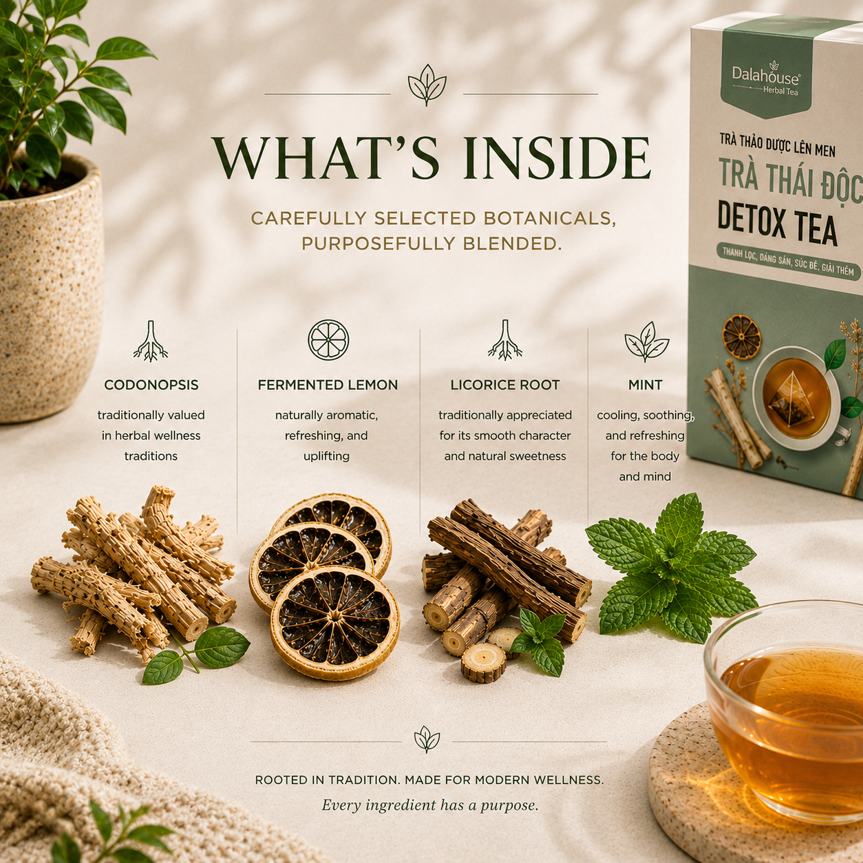 Daily Balance Herbal Tea 50g | Organic Fermented Tea for Everyday Wellbeing