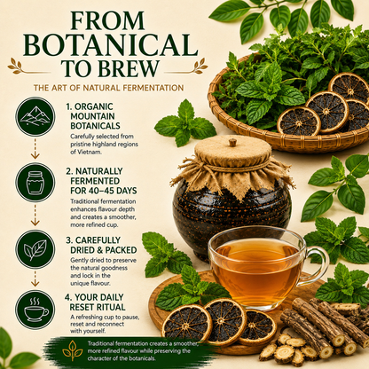 Daily Balance Herbal Tea 50g | Organic Fermented Tea for Everyday Wellbeing