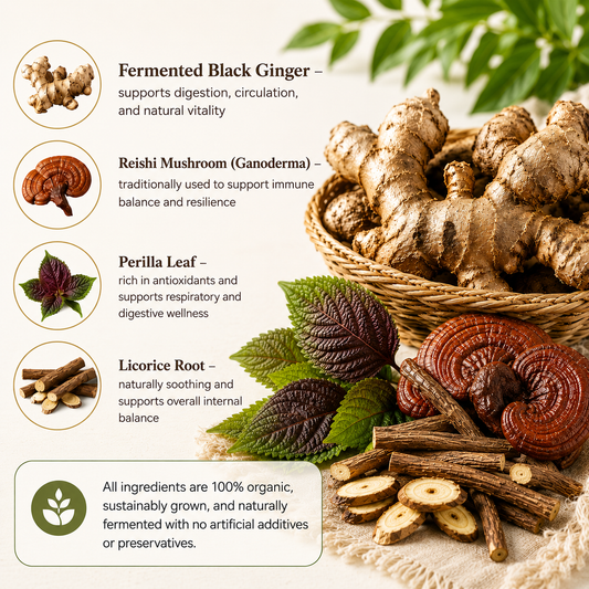 Immune Support Herbal Tea 50g | Organic Fermented Tea for Immunity & Daily Wellness
